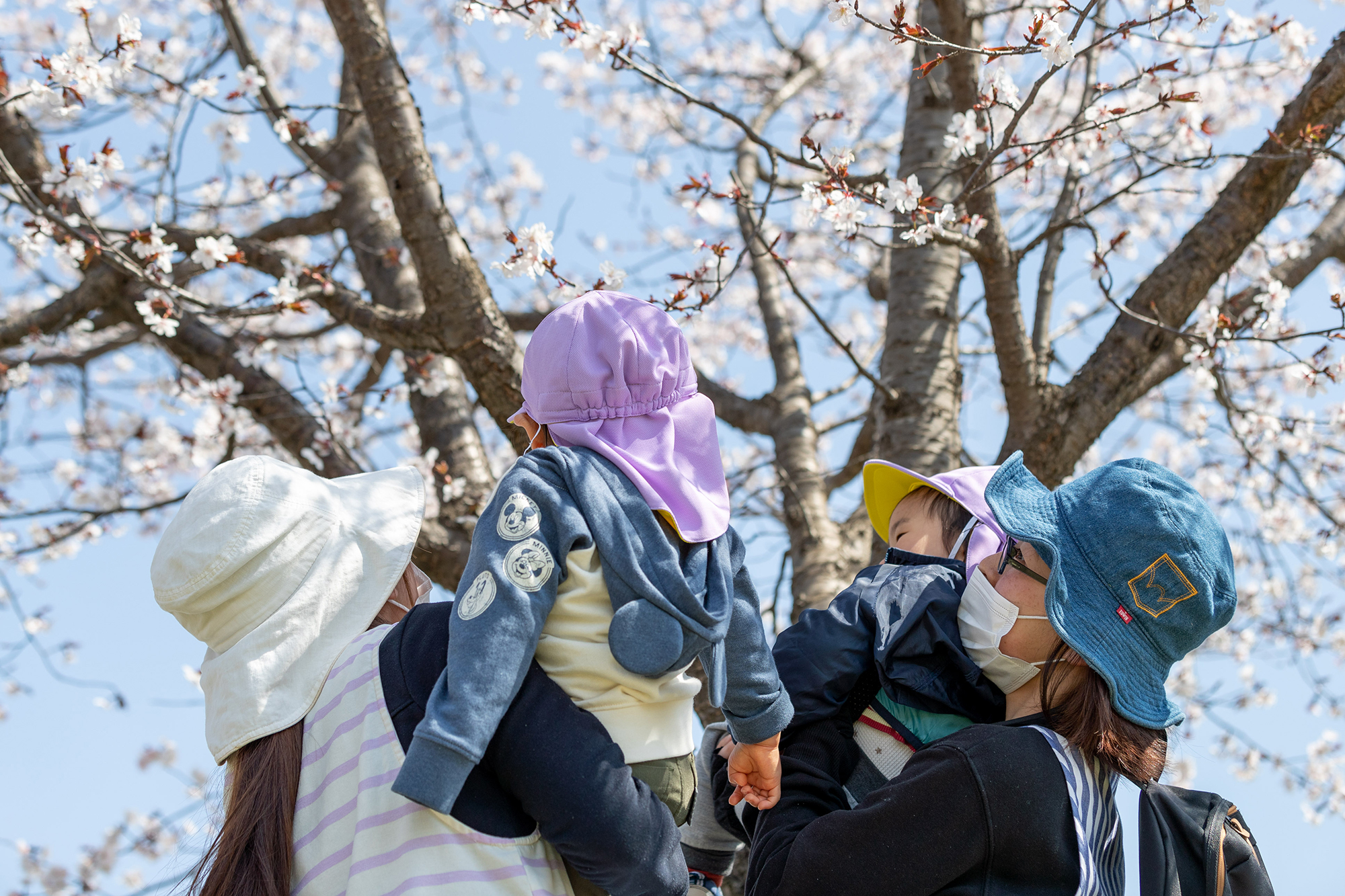 少人数制の家庭的保育